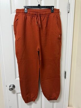 WeWoreWhat Rust Orange Sweatpants with Elastic Waist XL